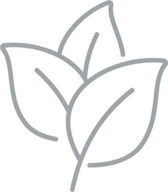 Botanical leaves