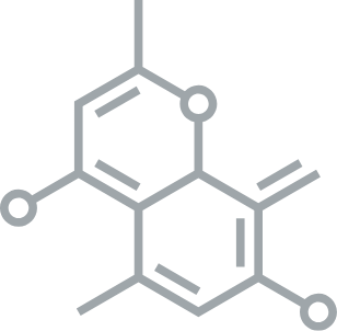 Silicone molecule